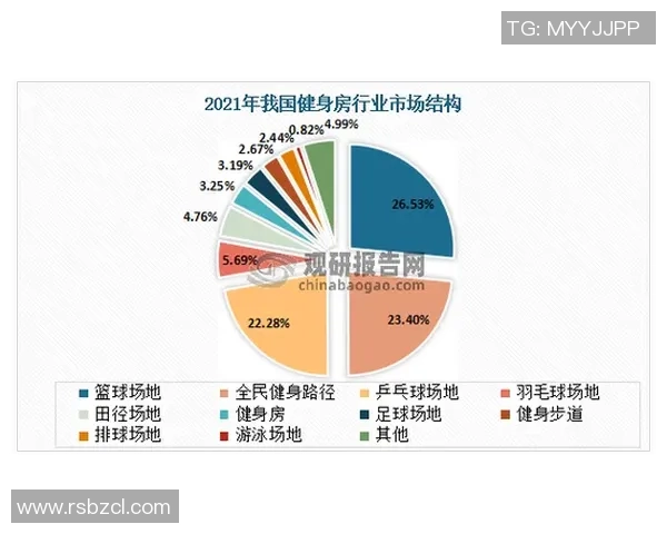 南京羽毛球队个人能力深度对比分析与发展潜力探讨